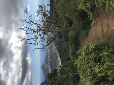 Hawaii Kai views
