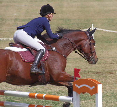 Horse Show Jumping