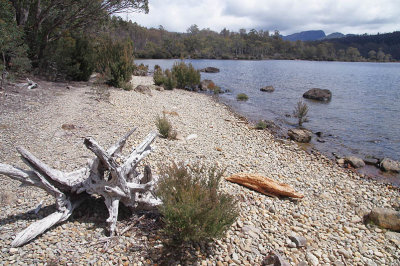 St Claire Lake, Cradle Mountain National Park