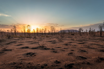 DSC_7162  Uluru