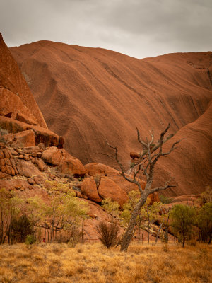 DSC_7256 Uluru