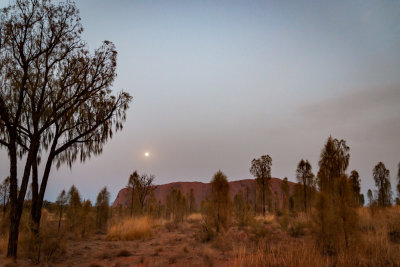 DSC_7401  Uluru sunrise wiith moon