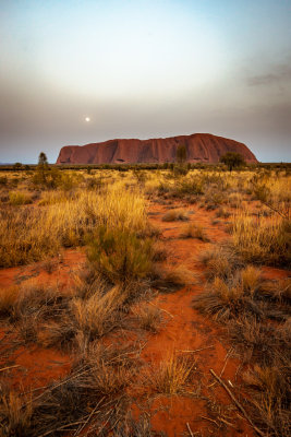 DSC_7407  Uluru sunrise with moon