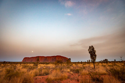 DSC_7412  Uluru sunrise with moon