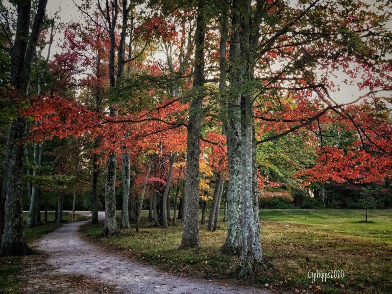 Johnson Lake Park