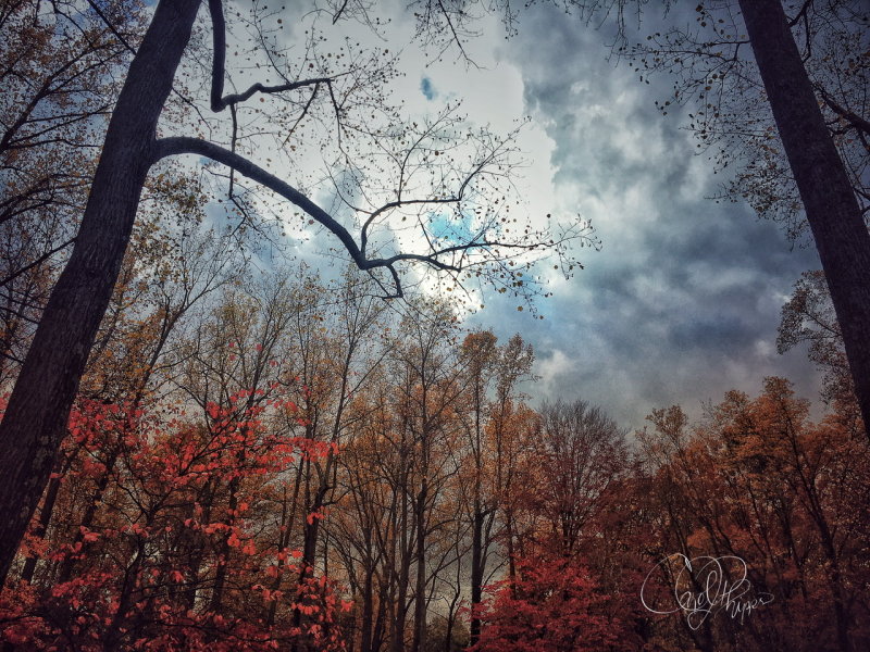 Dancing Clouds Before Storm