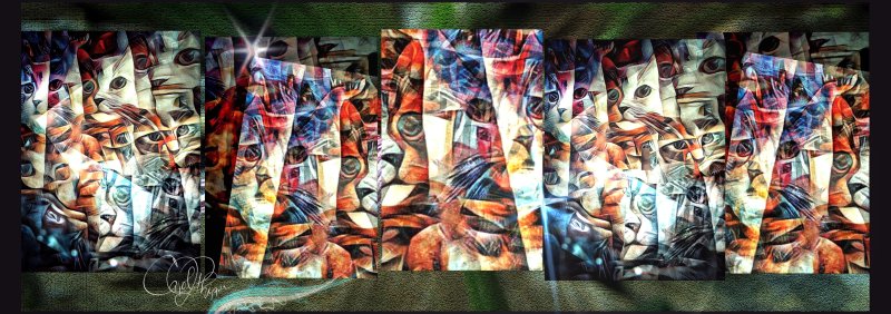 A Labor of love Multiplied 