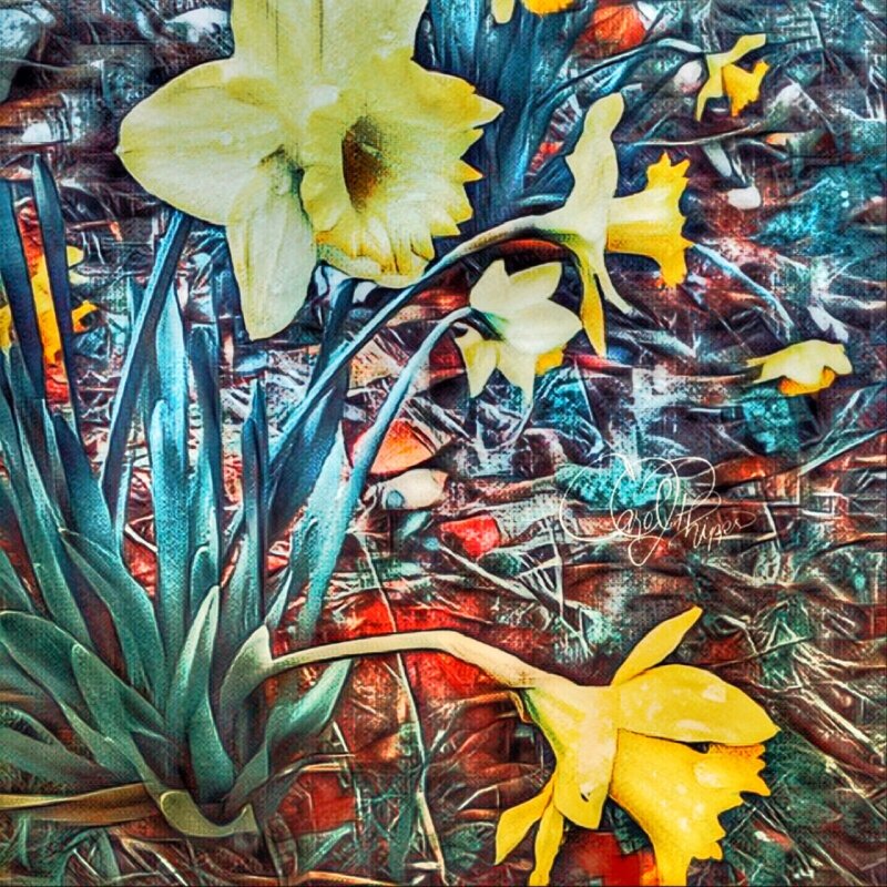 Signs of Spring