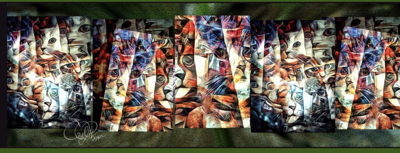 My Feline Friends 