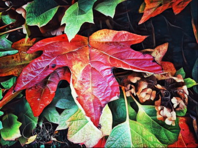 Perky Autumn Leaf