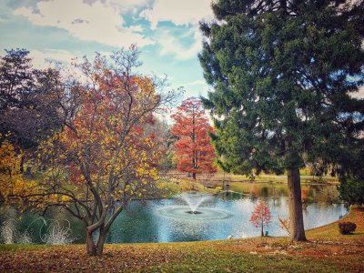 Autumn around a Lake