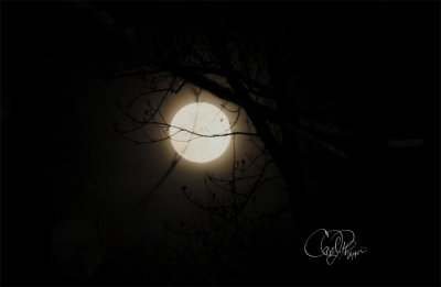 Full Moon Cloudy Skies