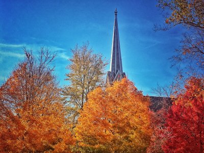 Remembering Autumn