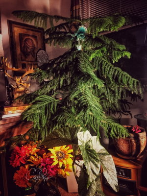 My Healing Tree