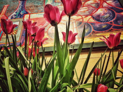 Tulips below an Outdoor Painting