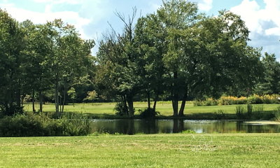 Johnson Lake