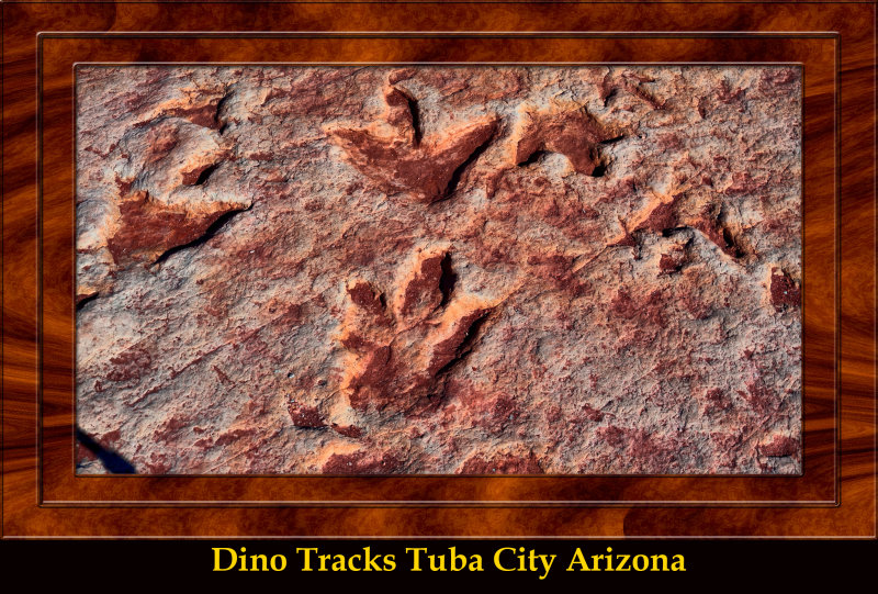 Tuba City Dinosaur Tracks DSC07737_dphdr copy.jpg