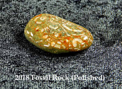 2018 Fossil Rock RX400589 (Polished)_dphdr.jpg