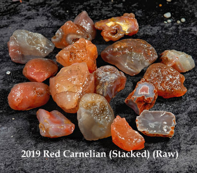 2019 Red Carnelian RX400976 (Stacked) (Raw).jpg