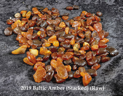 2019 Baltic Amber  RX401043 (Stacked) (Raw).jpg