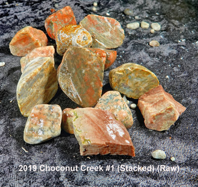 2019 Choconut Creek #1 RX401969 (Stacked) (Raw).jpg