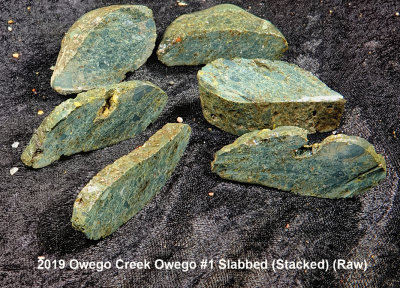 2019 Owego Creek Owego #1 Slabbed RX402806 (Stacked) (Raw).jpg