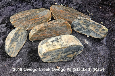 2019 Owego Creek Owego #5 RX403121 (Stacked) (Raw).jpg
