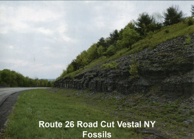 2019 Rt 26 Vestal NY Roadcut .jpg