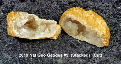 2019 Nat Geo Geodes #9  RX404163 (Stacked)  (Cut).jpg