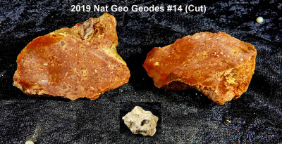 2019 Nat Geo Geodes #14 RX404441 (Cut).jpg