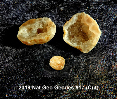 2019 Nat Geo Geodes #17 RX404539 (Cut).jpg