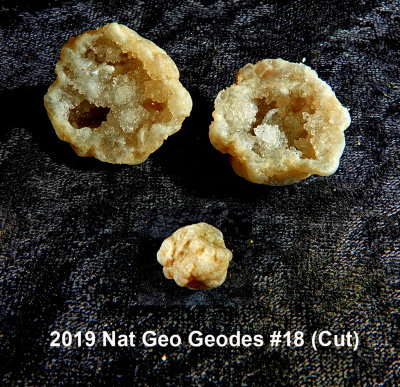 2019 Nat Geo Geodes #18 RX404548 (Cut).jpg