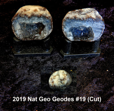 2019 Nat Geo Geodes #19 RX404558 (Cut).jpg