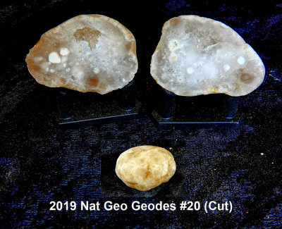 2019 Nat Geo Geodes #20 RX404566 (Cut).jpg