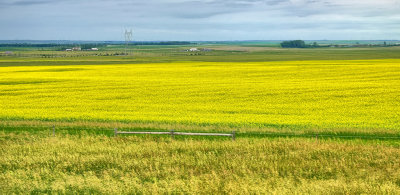 2019 North Dakota RX10 IV) RX406337_dphdr.jpg