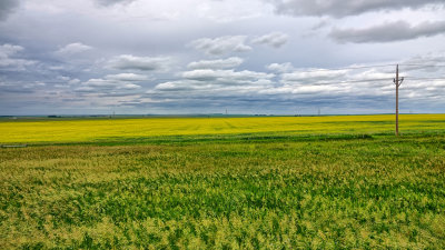 2019 North Dakota RX10 IV) RX406346_dphdr.jpg