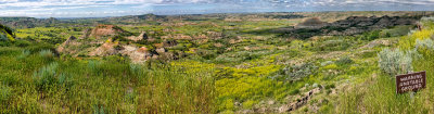2019 North Dakota RX10 IV) RX406364_dphdr-7 images.jpg