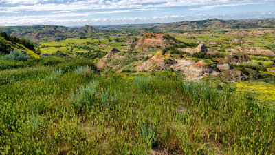 2019 North Dakota RX10 IV) RX406364_dphdr.jpg