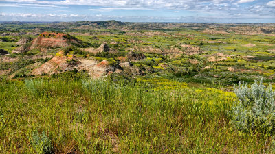2019 North Dakota RX10 IV) RX406373_dphdr.jpg