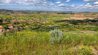 2019 North Dakota RX10 IV) RX406382_dphdr.jpg
