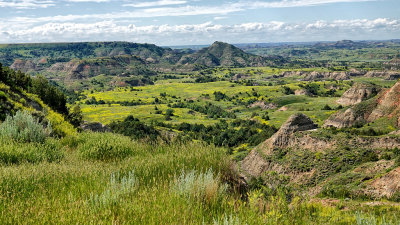 2019 North Dakota RX10 IV) RX406400_dphdr.jpg