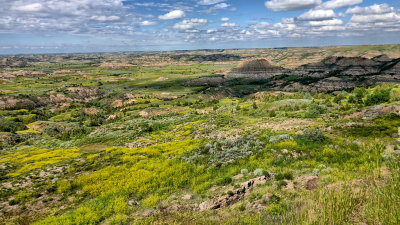 2019 North Dakota RX10 IV) RX406409_dphdr.jpg