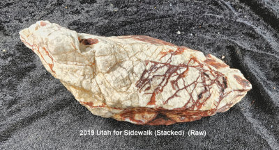 2019 Utah for Sidewalk RX409493 (Stacked)  (Raw) (Labeled).jpg