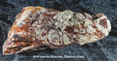 2019 Utah for Sidewalk RX409511 (Stacked) (Raw)_dphdr (Labeled).jpg