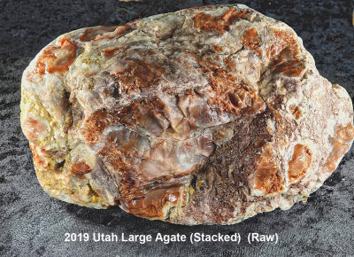 2019 Utah Large Agate RX409376 (Stacked)  (Raw) (Labeled).jpg