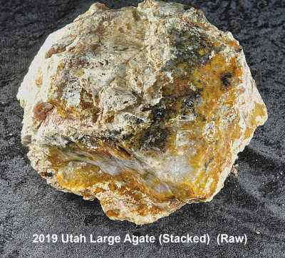 2019 Utah Large Agate RX409403 (Stacked)  (Raw) (Labeled).jpg