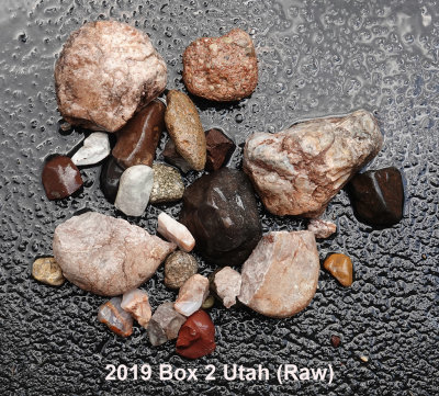 2019 Box 2 Utah RX409680 (Raw).JPG
