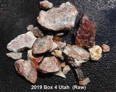 2019 Box 4 Utah RX409682 (Raw).JPG