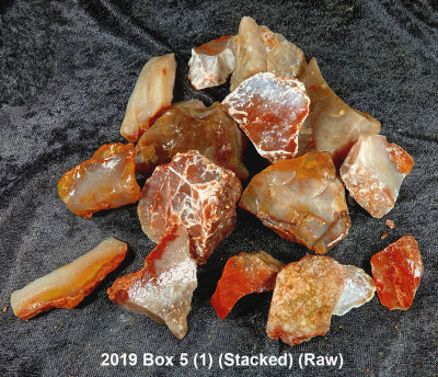2019 Box 5 (1) RX409997(Stacked) (Raw).jpg