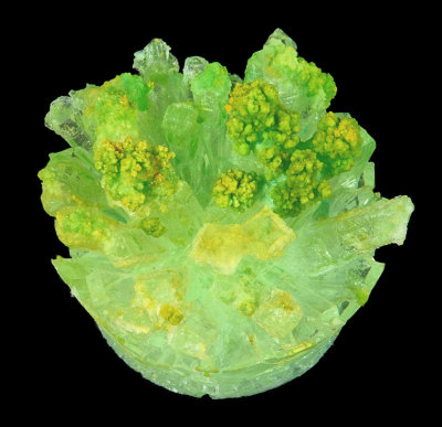 2019 HomeGrown Crystals Green RX400808 (Stacked)_InPixio.jpg